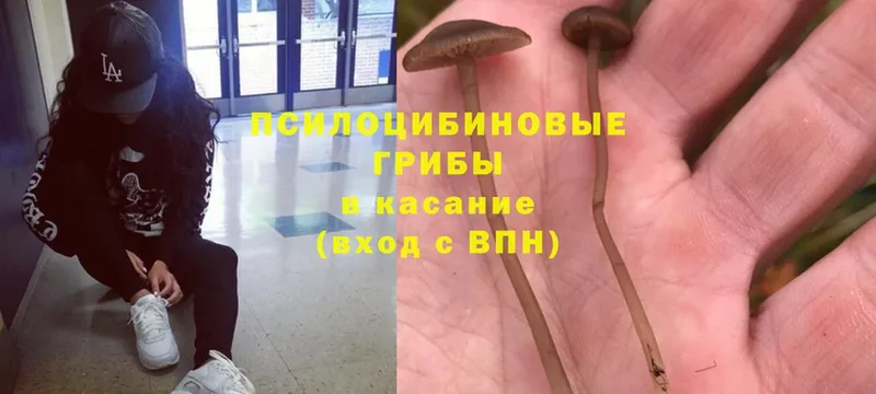 Псилоцибиновые грибы Magic Shrooms  гидра ССЫЛКА  Рязань 